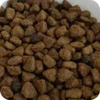 Evcil Hayvan Maması